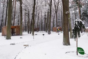 На Тернопільщині цьогоріч з'явиться великий сучасний рекреаційний пункт